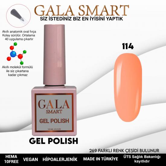 Gala Smart Kalıcı Oje Classic No:114